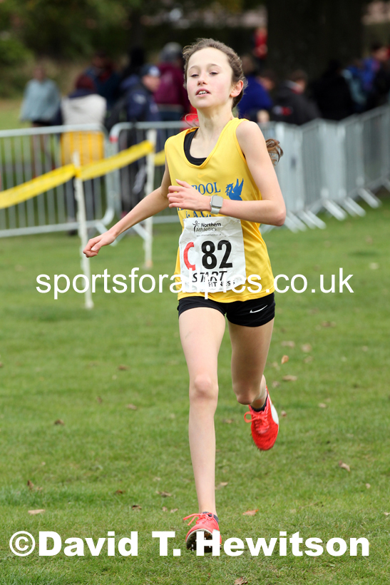 Girls under-13s Northern Cross Country Relays, Graves Park, Sheffield. Photo: David T. Hewitson/Sports for All Pics